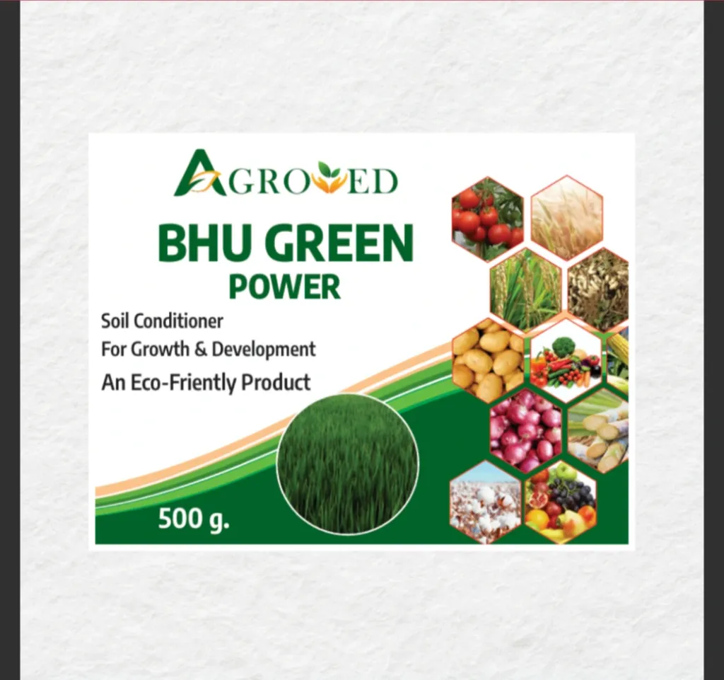 Bhu Green Powder ( 500g )
